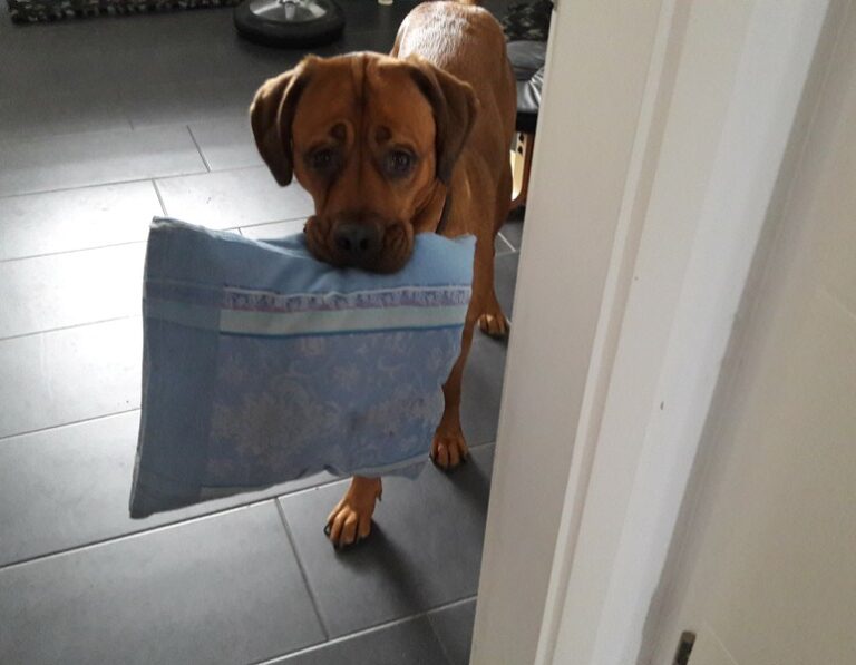 „Platz schaffen mit Herz“