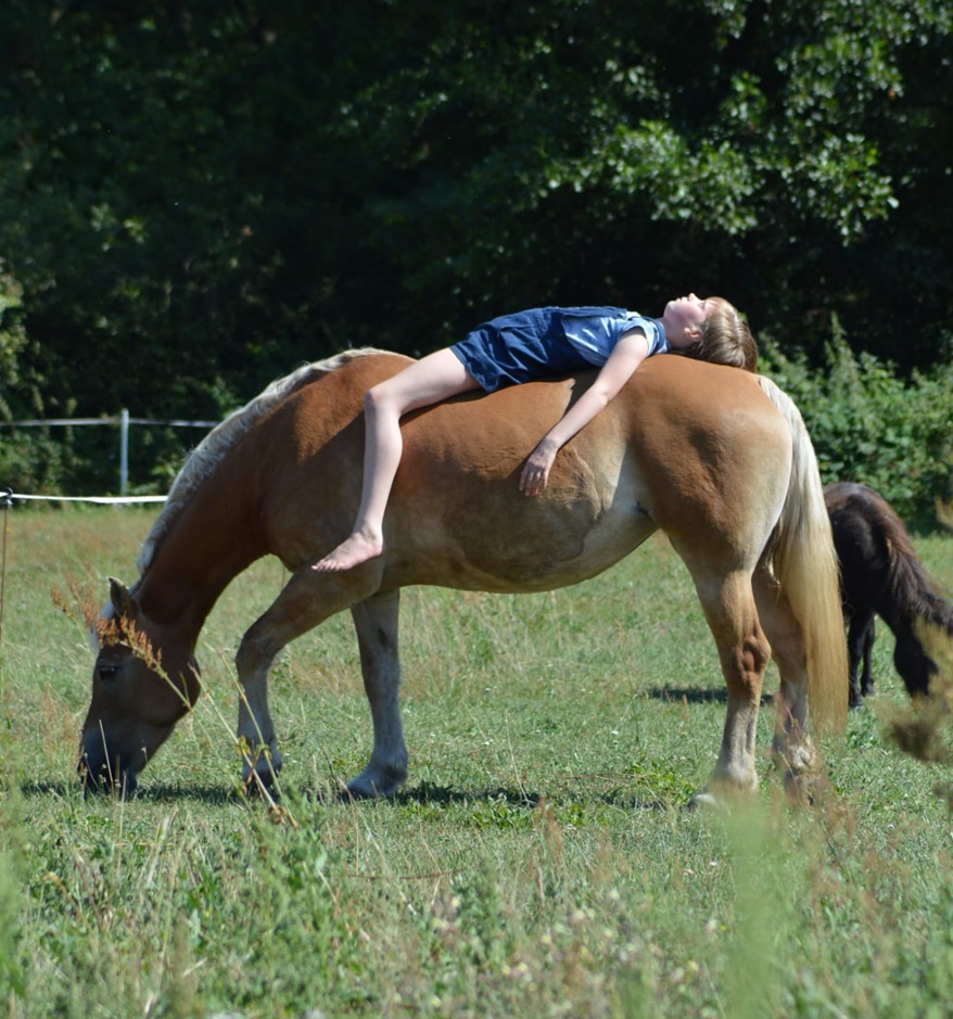 Im Distelhof tut sich was!