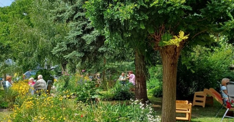 Sommeranfang im Distelhof